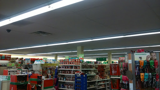 Dollar Store «Dollar Tree», reviews and photos, 722 W Alondra Blvd, Compton, CA 90220, USA