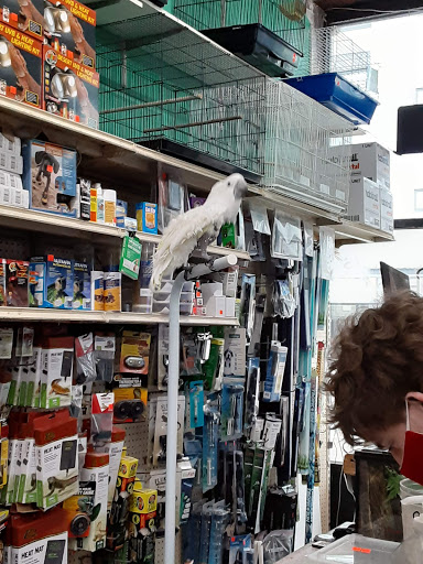 Pet Store «Jules Pet Shop», reviews and photos, 2214 N Milwaukee Ave, Chicago, IL 60647, USA