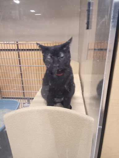 Pet Supply Store «PetSmart», reviews and photos, 10460 Town Center Dr, Westminster, CO 80021, USA