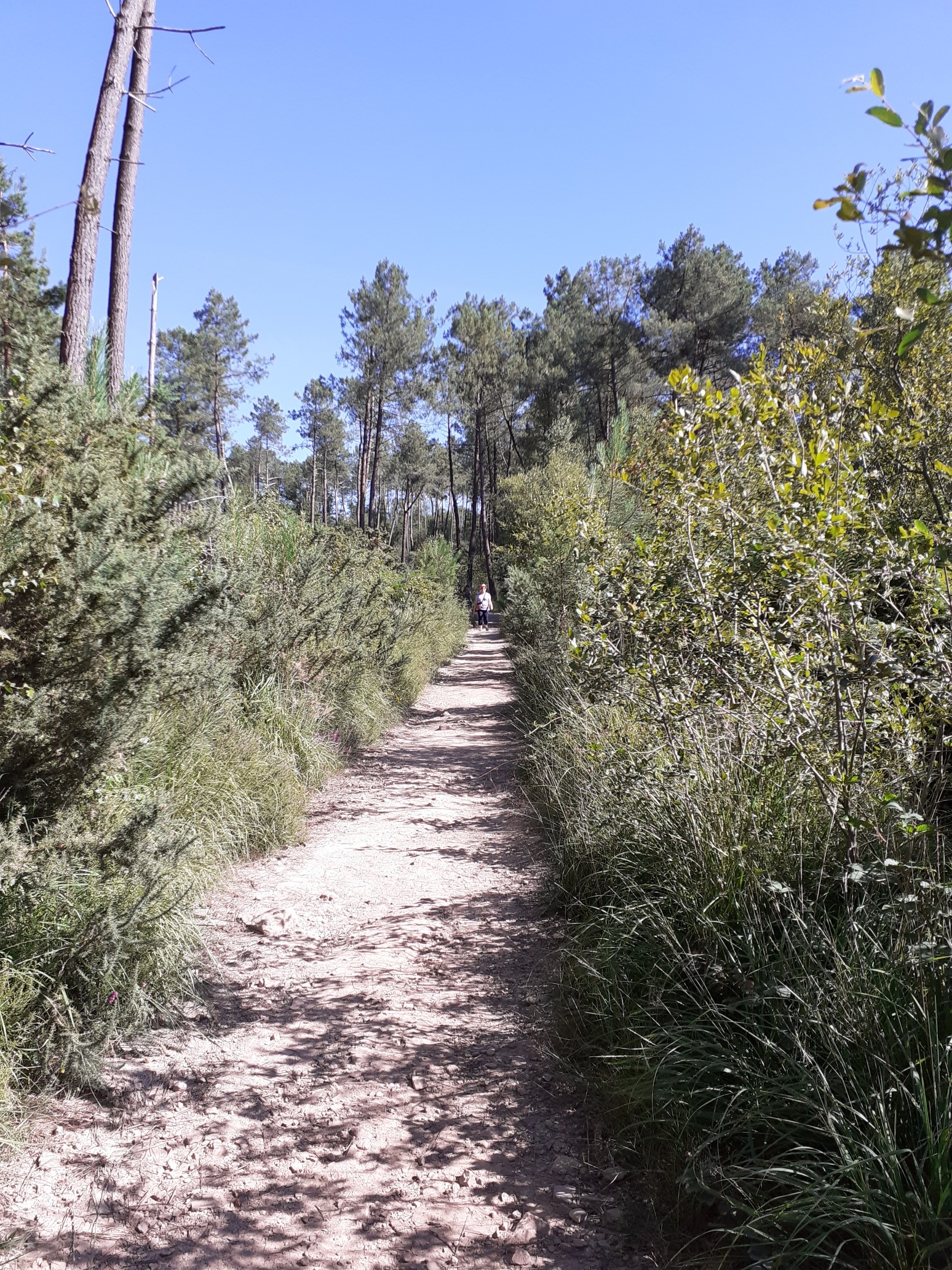 Photo n° 5 de l'avis de Jean.u fait le 18/07/2020 à 17:26