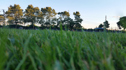 Park «Martin Bunky Reid Park», reviews and photos, Broadway Ave & Urban Ave, Westbury, NY 11590, USA