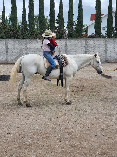 Pasos Gigantes