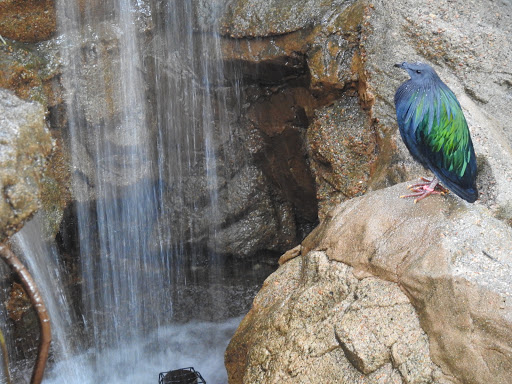 Zoo «Denver Zoo», reviews and photos, 2300 Steele St, Denver, CO 80205, USA