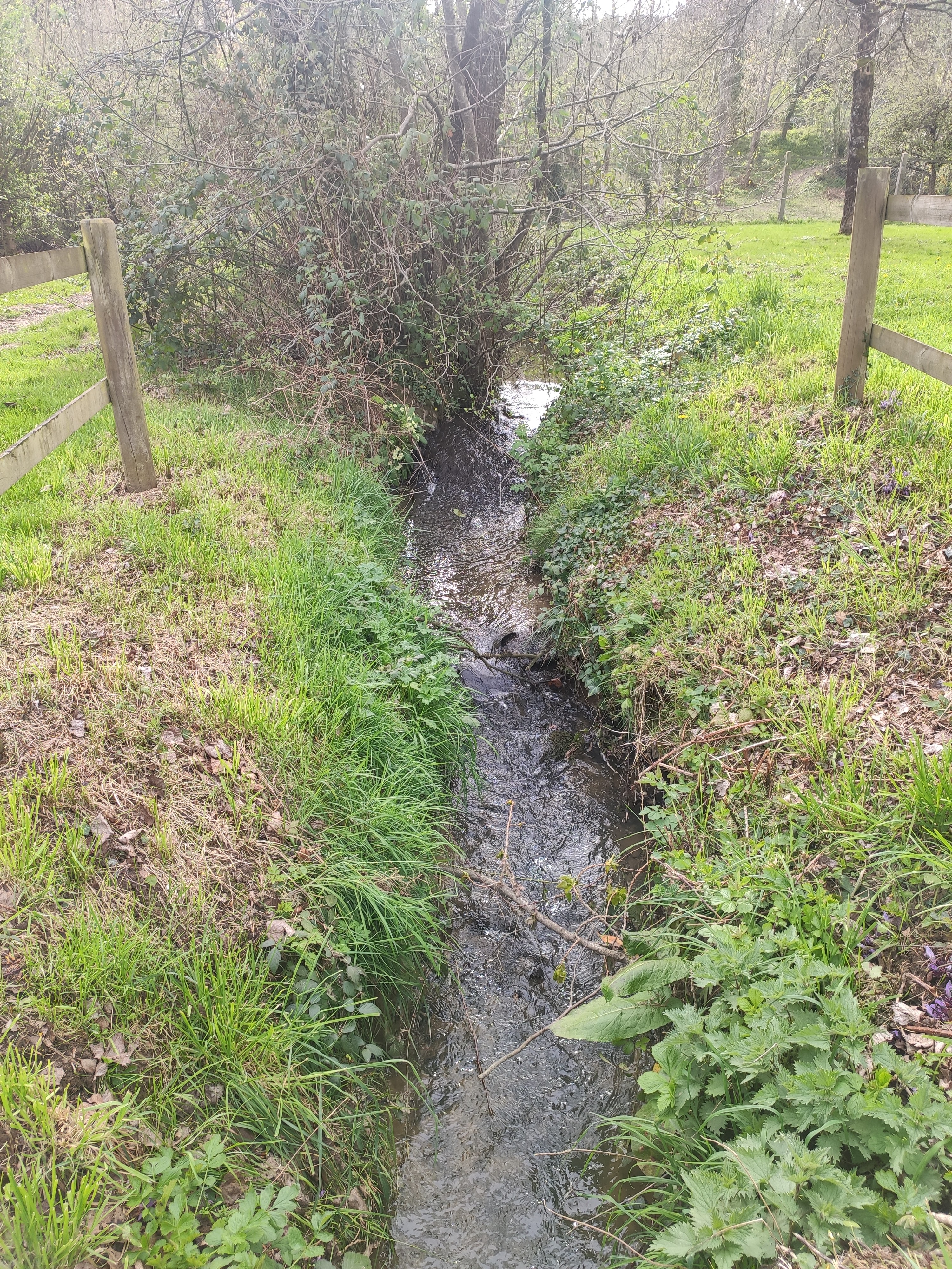 Photo n° 2 de l'avis de Béatrice.I fait le 18/04/2022 à 13:17
