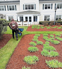 A. David Lawn Care - Photo 4 - Car repair in Norwood, MA, Boston