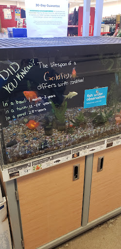 Pet Supply Store «Petco Animal Supplies», reviews and photos, 664 New Loudon Rd #240, Latham, NY 12110, USA