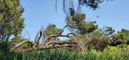 Golf Course «Balboa Golf Course», reviews and photos, 16821 Burbank Blvd, Encino, CA 91436, USA