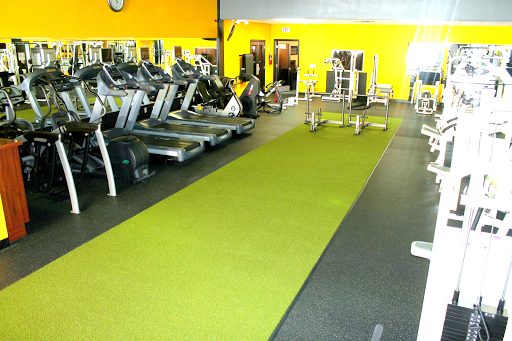 Physical Fitness Program «Contour Fitness», reviews and photos, 34314 US Hwy 19 N, Palm Harbor, FL 34684, USA