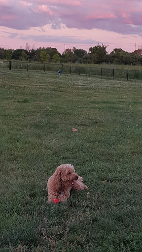 Dog Park «Carol Stream Bark Park», reviews and photos, 280 Kuhn Rd, Carol Stream, IL 60188, USA