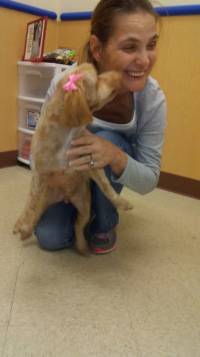 Pet Supply Store «Petsense North Richland Hills», reviews and photos, 5615 Rufe Snow Dr, North Richland Hills, TX 76180, USA