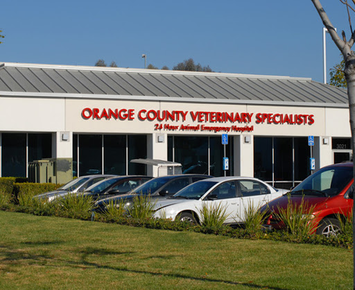 VCA AVCC-Orange County