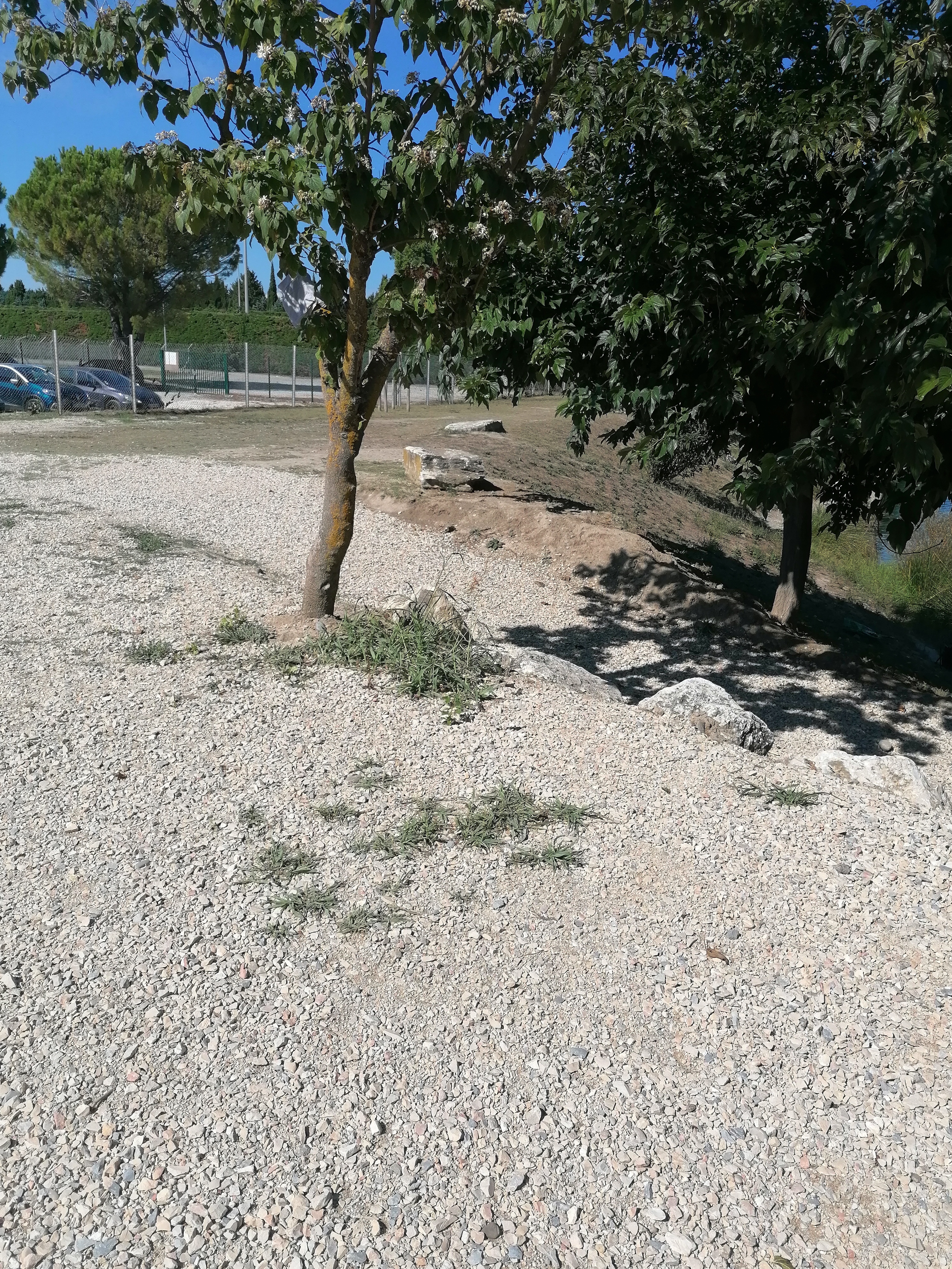 Photo n° 6 de l'avis de Tom.o fait le 05/09/2021 à 13:38