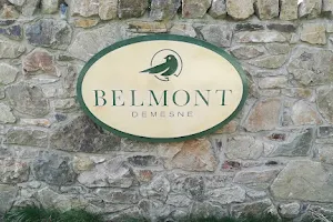 Belmont Demesne image