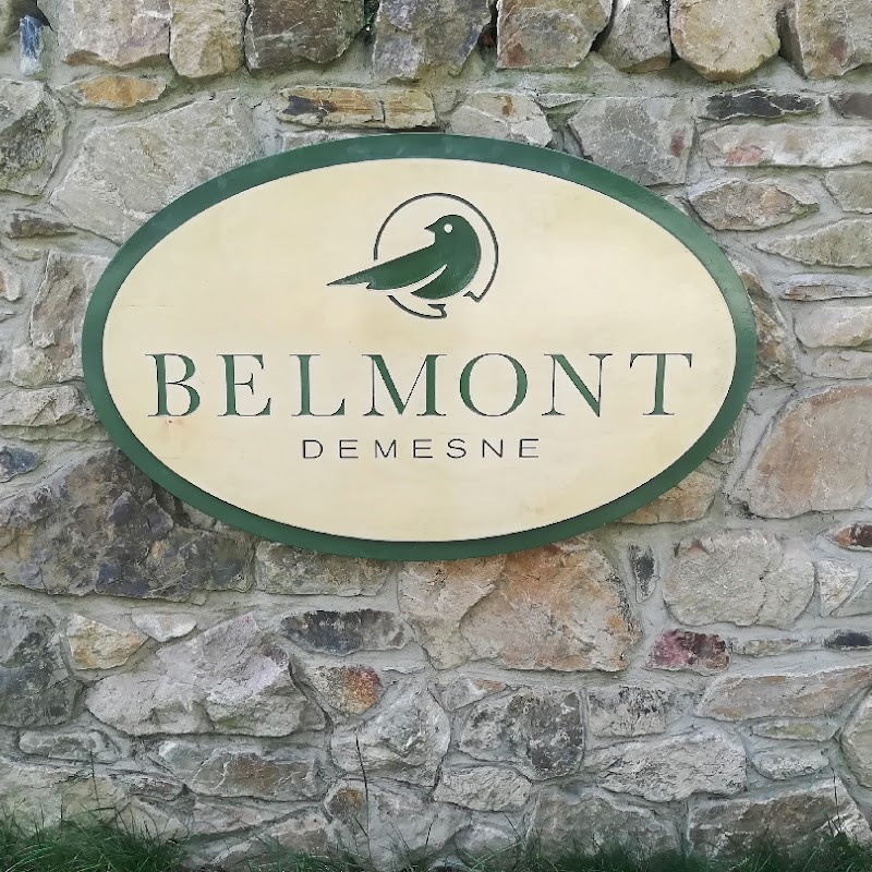 Belmont Demesne