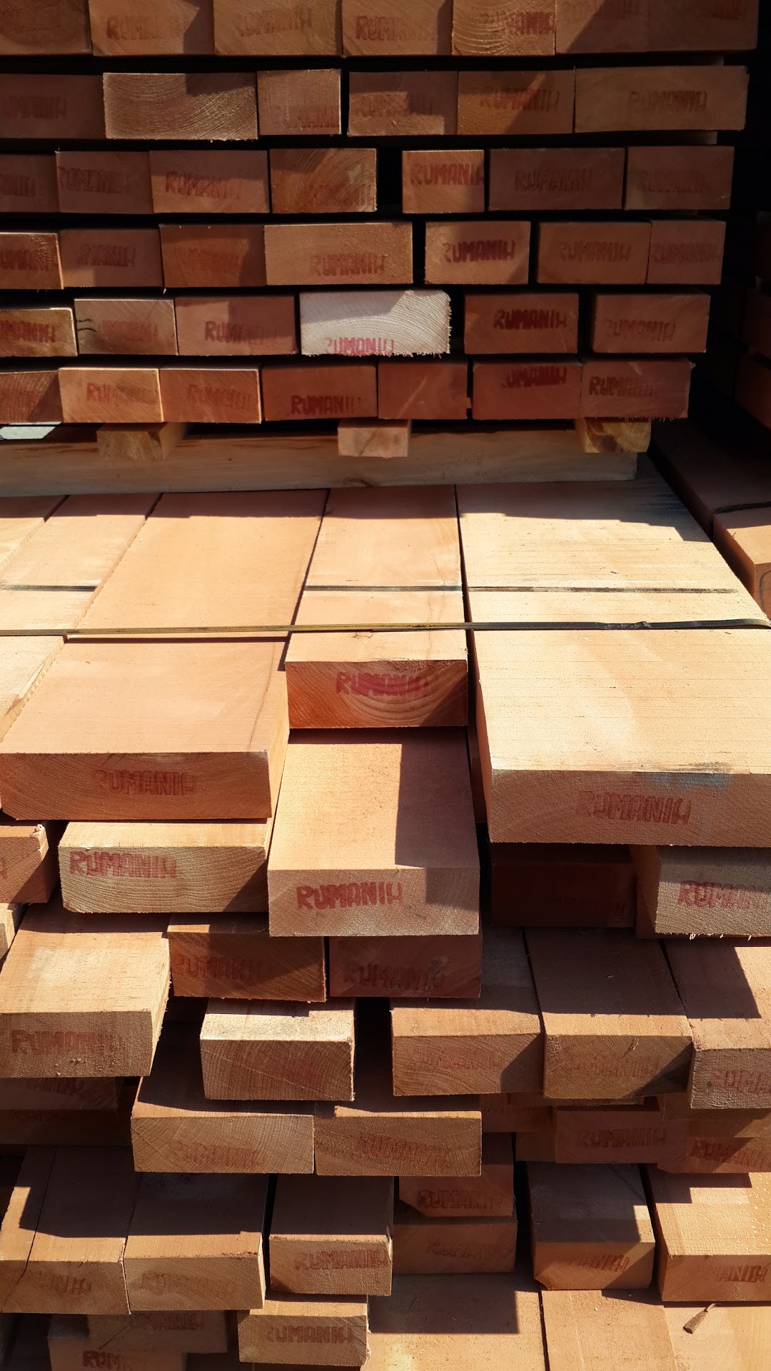 وود فورست للأستيراد wood forest for import and export