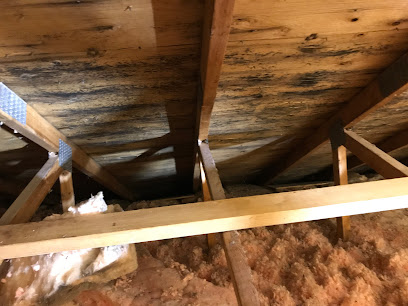 Four Seasons Insulation Inc. Attic Insulation - Mold Remediation/Removal