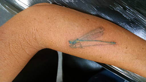 Tattoo Shop «Fine Line Tattoo & Piercing», reviews and photos, 2864 Ray Lawyer Dr, Placerville, CA 95667, USA