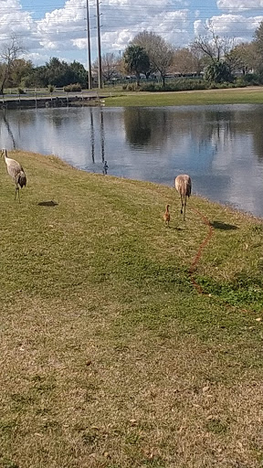 Golf Club «Mayfair Country Club», reviews and photos, 3536 Country Club Rd, Sanford, FL 32773, USA