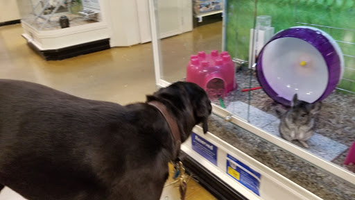 Pet Supply Store «PetSmart», reviews and photos, 9589 Ridgetop Blvd NW, Silverdale, WA 98383, USA