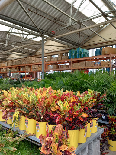 Home Improvement Store «The Home Depot», reviews and photos, 6411 Precinct Line Rd, North Richland Hills, TX 76182, USA