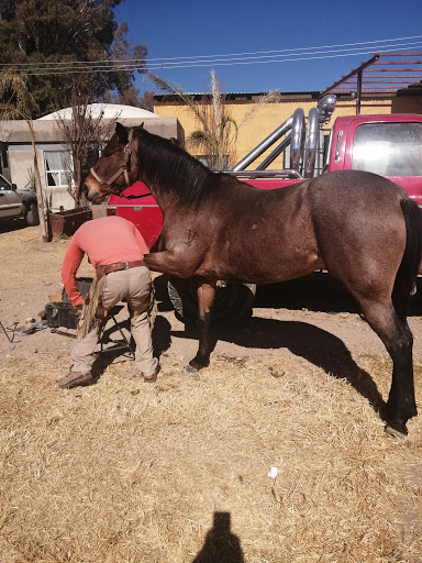 Escuela granja Victoria de Durango