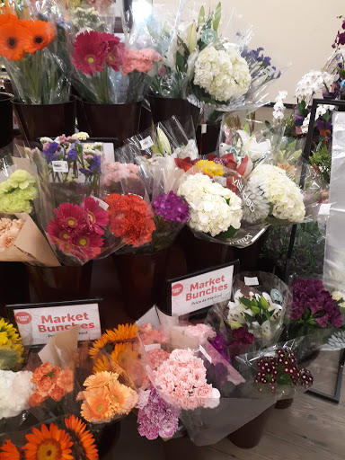 Grocery Store «Albertsons», reviews and photos, 615 Keck Dr, McMinnville, OR 97128, USA