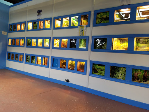 Pet Store «Fins Feathers Paws & Claws», reviews and photos, 436 Main St, Harleysville, PA 19438, USA