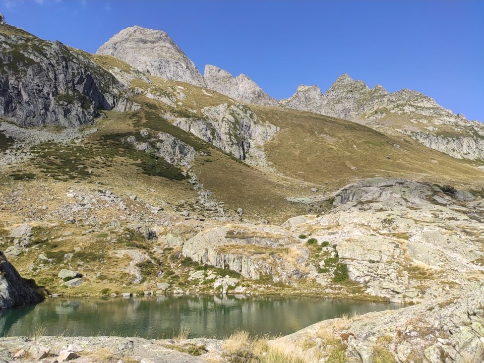 Photo n° 3 de l'avis de Zess.9 fait le 18/08/2023 à 16:02