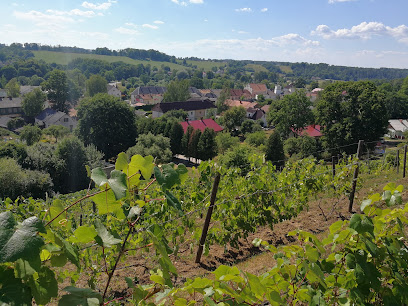 Wine Hill of Sabile