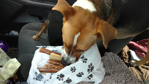 Pet Store «Bark Avenue Healthy Pets», reviews and photos, 426 21st St, Vero Beach, FL 32960, USA