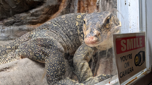 Pet Store «Ponds & Plants», reviews and photos