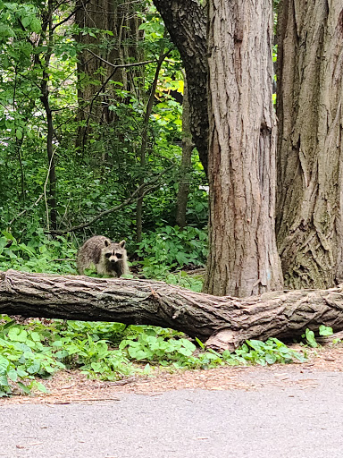 Park «Friends of Van Cortlandt Park», reviews and photos, 80 Van Cortlandt Park S, Bronx, NY 10463, USA