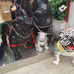 Photo n° 3 de l'avis de Julien.u fait le 14/08/2020 à 13:22 pour Nilufar Colmar-Wintzenheim à Wintzenheim