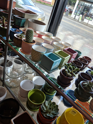 Boutique «Archimage», reviews and photos, 668 Monroe Ave, Rochester, NY 14607, USA