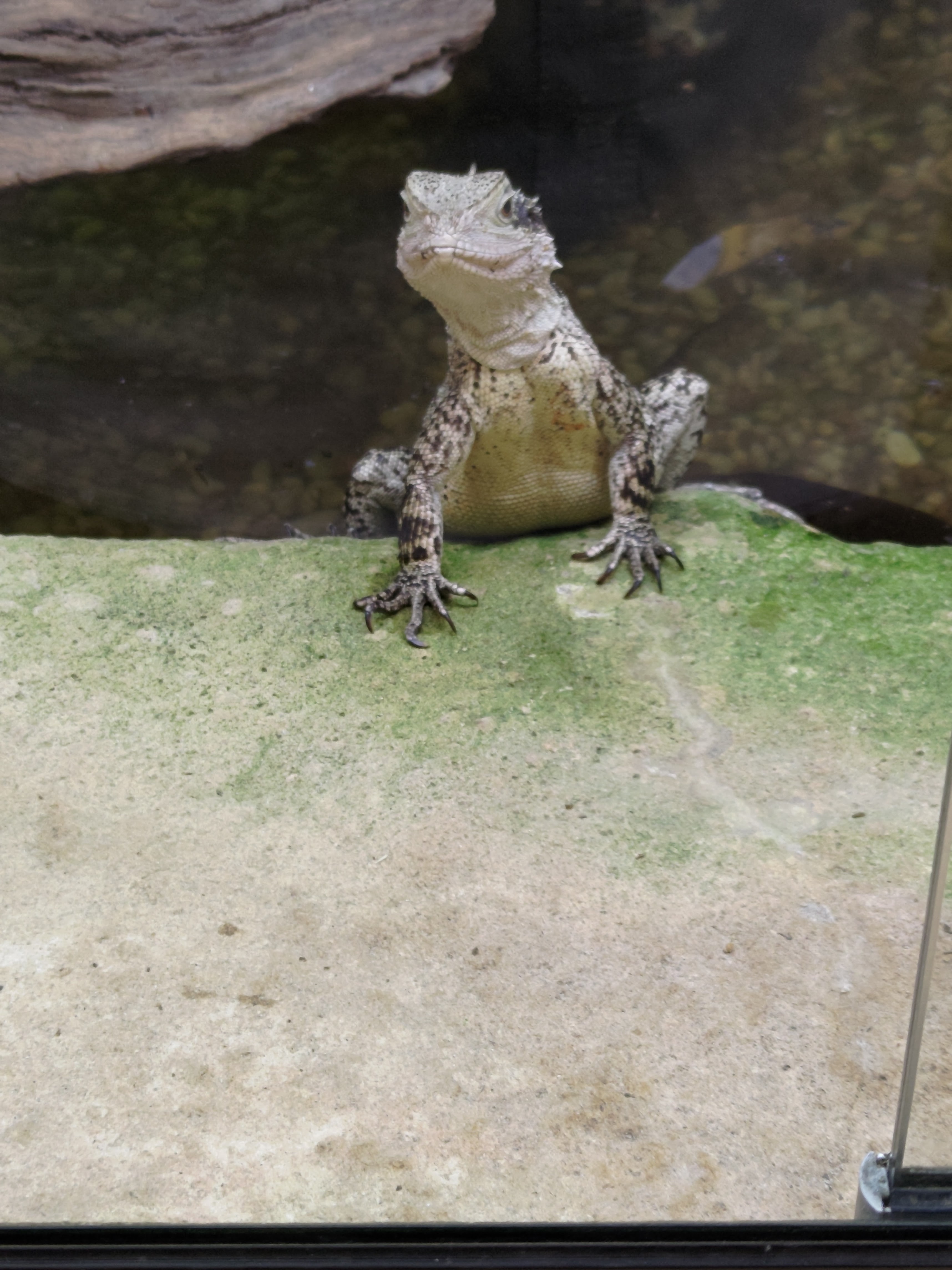 Photo n° 4 de l'avis de Nest.3 fait le 13/07/2023 à 19:12