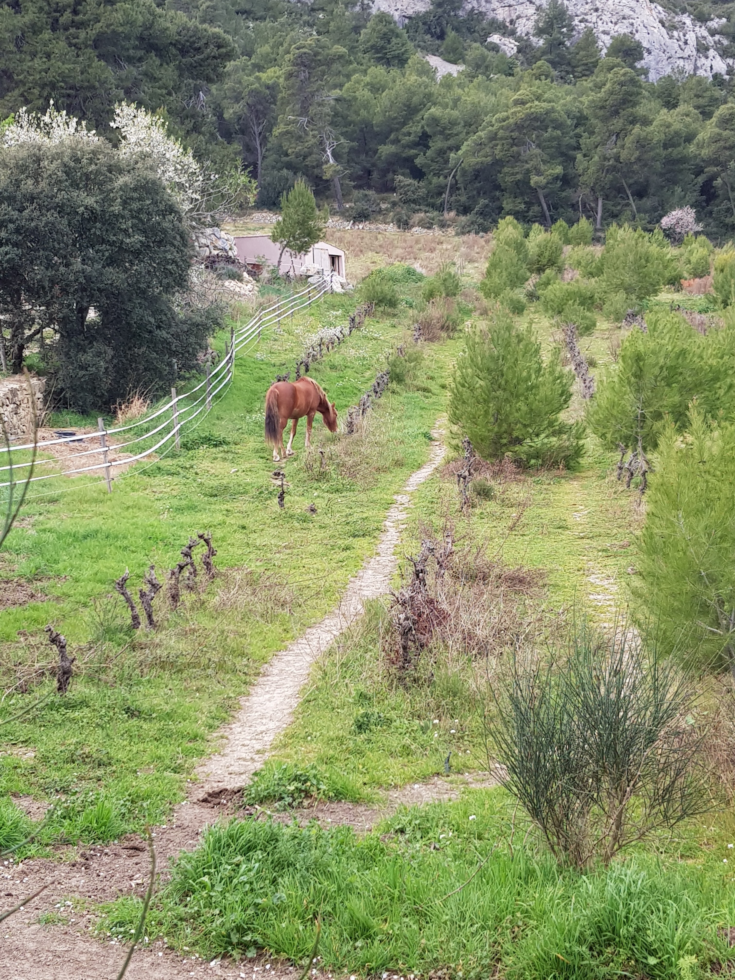 Photo n° 1 de l'avis de Valérie.r fait le 26/03/2019 à 21:20