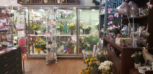 Florist «Belak Flowers», reviews and photos, 832 Philadelphia Pike, Wilmington, DE 19809, USA