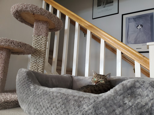 Department Store «HomeGoods», reviews and photos, 13644D Poway Rd, Poway, CA 92064, USA