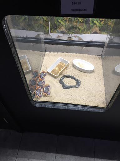 Pet Store «Inland Reef Pet Store», reviews and photos, 817 Cross Lanes Dr, Cross Lanes, WV 25313, USA