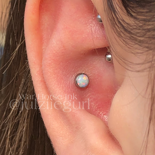 Explore snail tattoo ideas, creative tattoo ideas in Kent, available at War Horse Ink