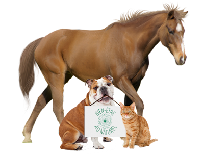AnimOpathe - Naturopathe Animalier au service du bien-être pour animaux à Limonest
