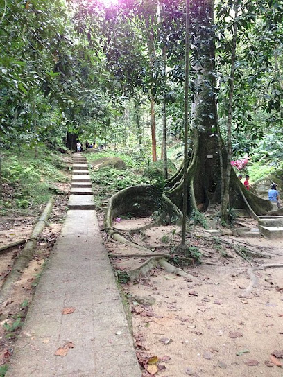 Bukit Mertajam Recreational Forest
