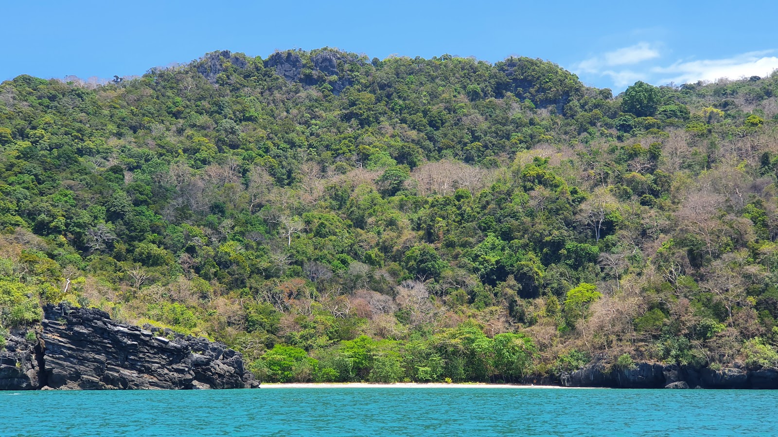 Φωτογραφία του Gray sand beach ubicado en área natural