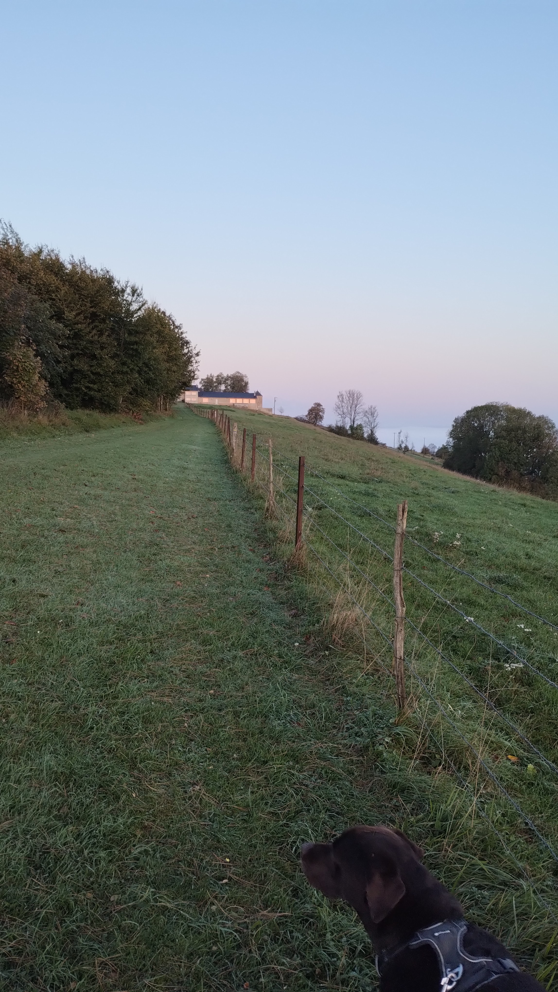 Photo n° 2 de l'avis de Henny.t fait le 22/10/2023 à 04:41