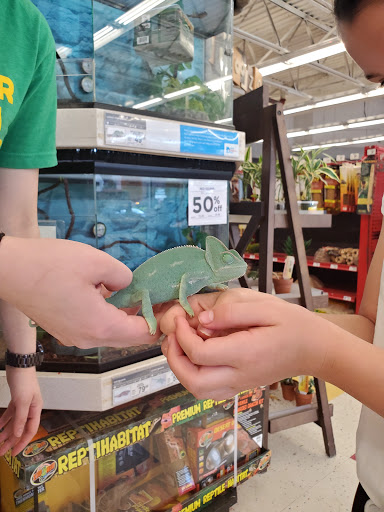 Petco Animal Supplies, 431 Westport Ave #1, Norwalk, CT 06851, USA, 