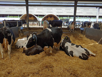 European Dairy Farmers - Danmark (EDF Danmark)
