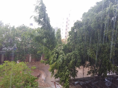 Google Maps image 12