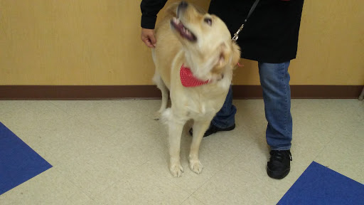 Pet Supply Store «Petsense Cleburne», reviews and photos, 1301 W Henderson St, Cleburne, TX 76033, USA