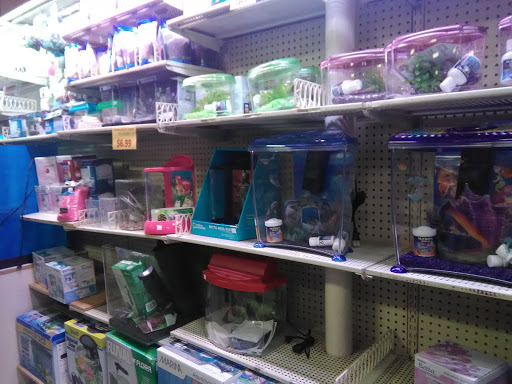 Pet Store «Forever Pets Inc», reviews and photos, 1030 Basse Rd, San Antonio, TX 78212, USA