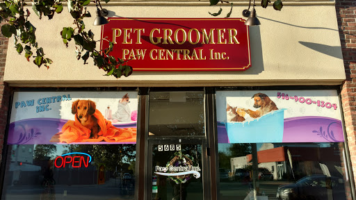 Lucky Paws Pet Grooming